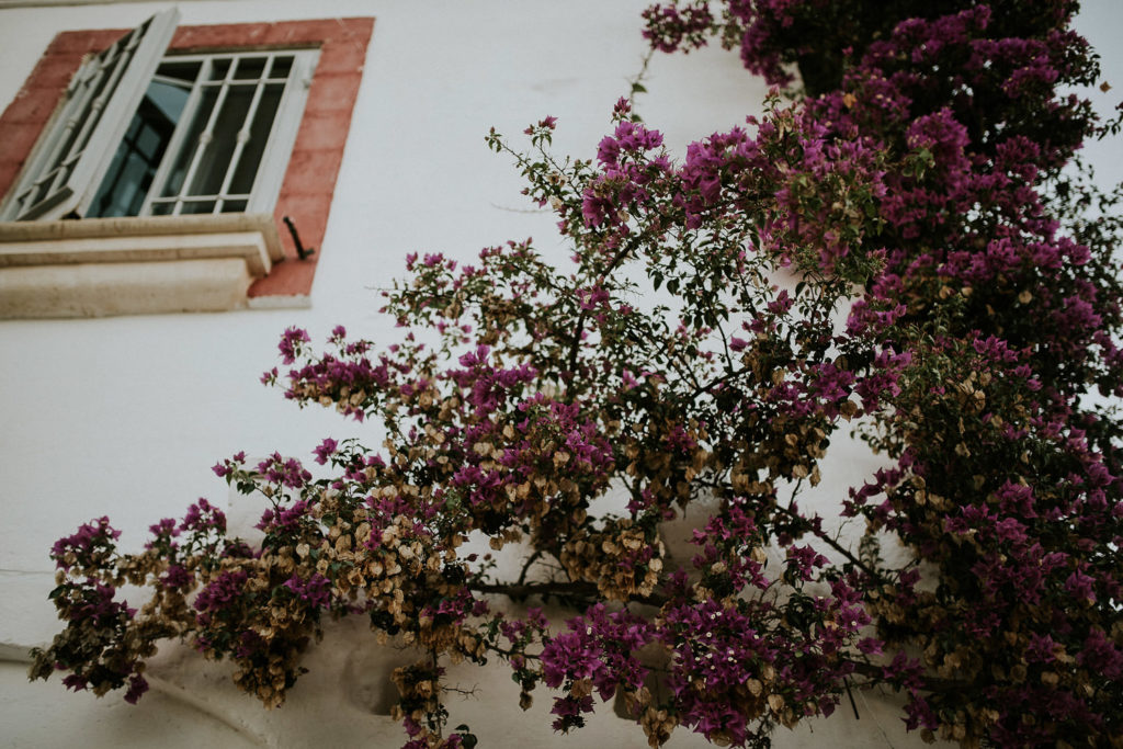 masseria_montenapoleoni_details