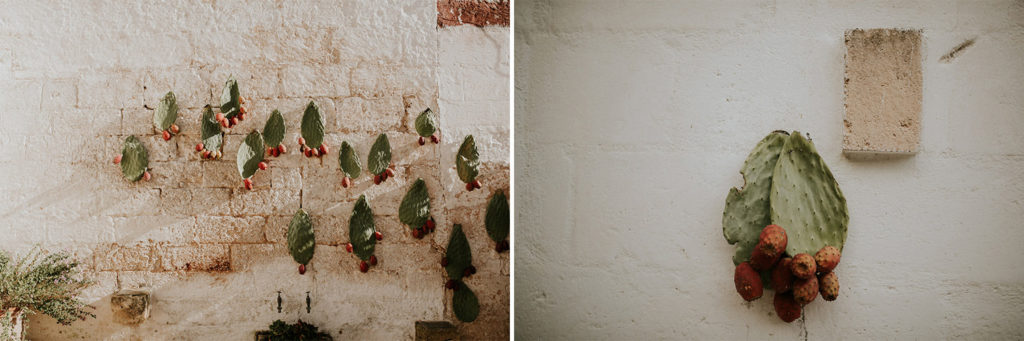 masseria_details